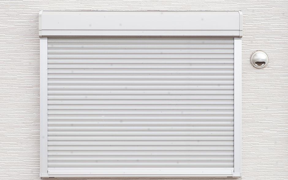 volet roulant électrique pour porte fenetre Bois-le-Roi
